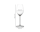 superleggero champagne wine glass dimensies.webp