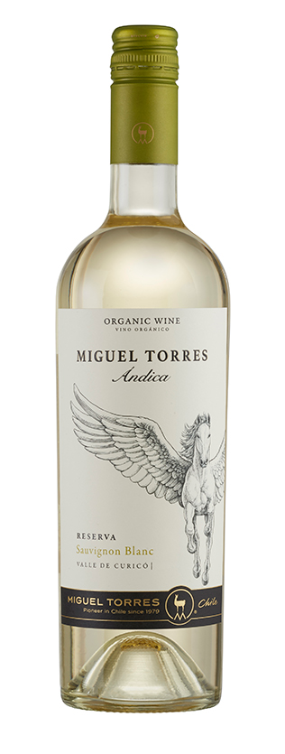 Torres Chile - Andica Sauvignon Blanc