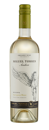 Torres Chile - Andica Sauvignon Blanc